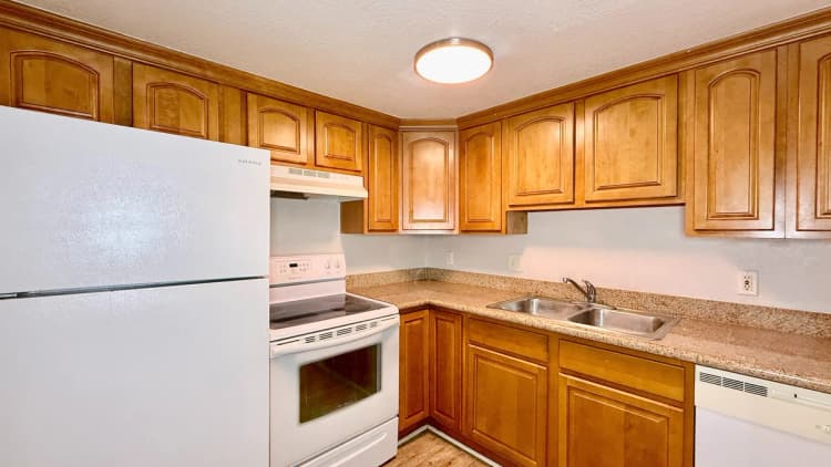 St. Petersburg apartments for rent - image - entrata_photo_1787590027257