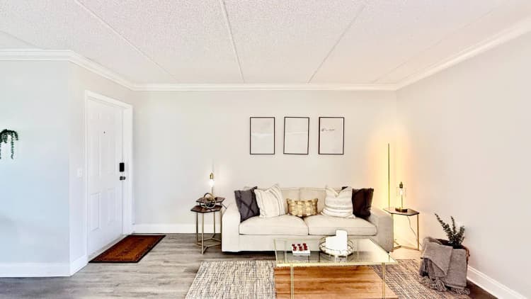 St. Petersburg apartments for rent - image - entrata_photo_1787590027257