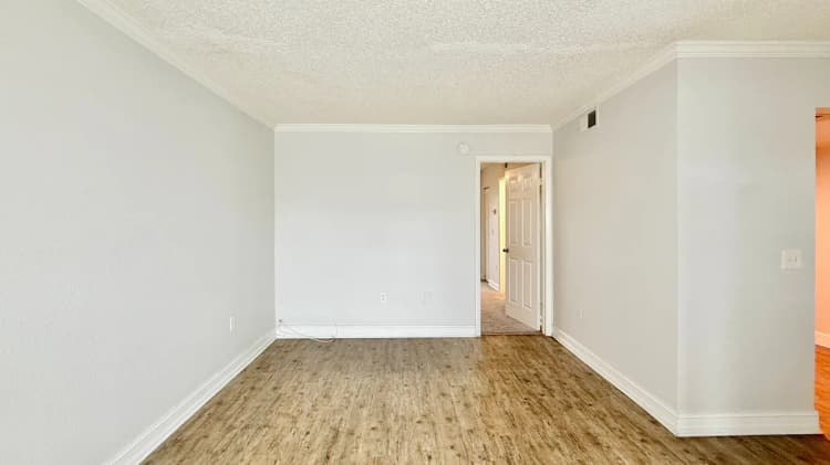 St. Petersburg apartments for rent - image - Starfish Classic - Living Room