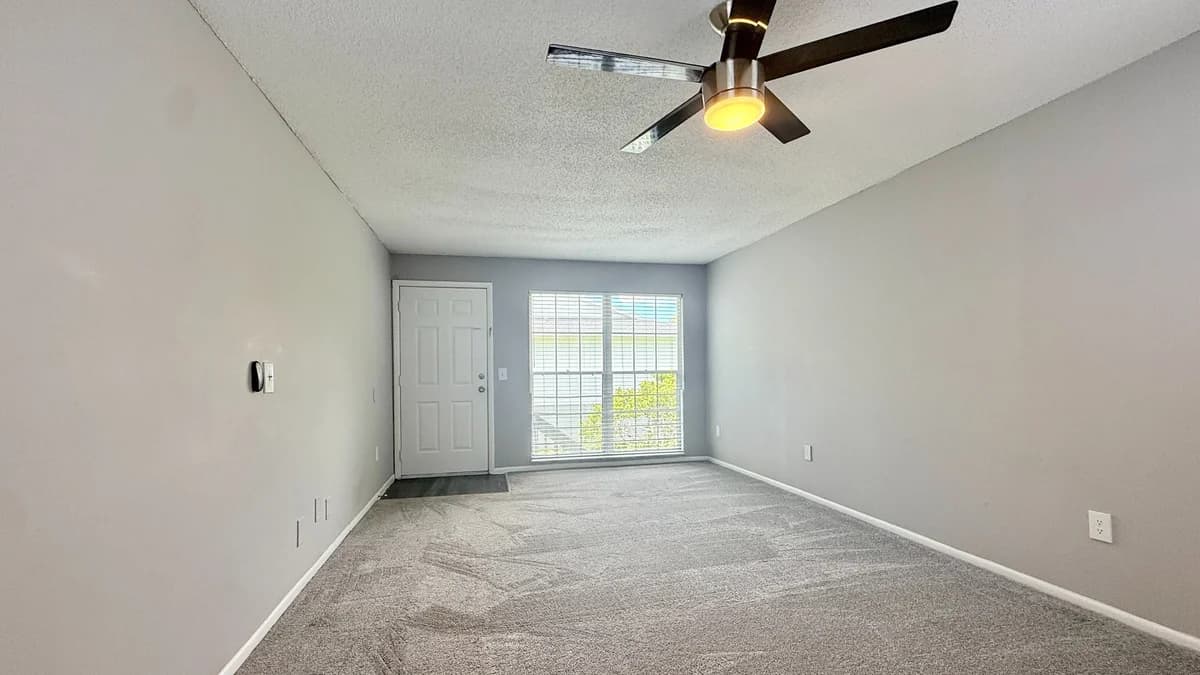 St. Petersburg apartments for rent - image - Premium One-Bedroom - Living Room - Carpet Option