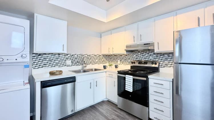 St. Petersburg apartments for rent - image - Premium One-Bedroom - Kitchen
