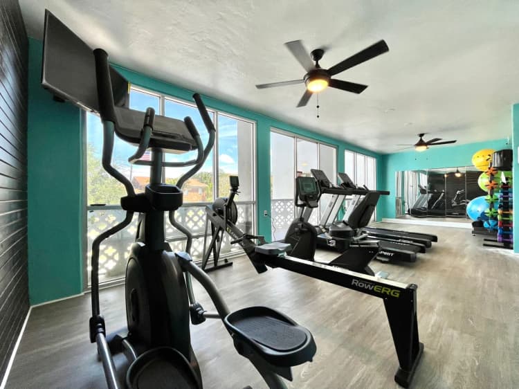 St. Petersburg apartments for rent - image - image-24.jpg