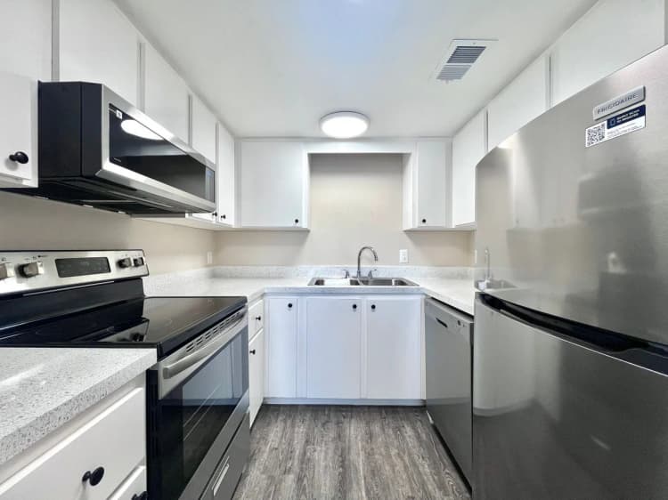 St. Petersburg apartments for rent - image - image-1.jpg