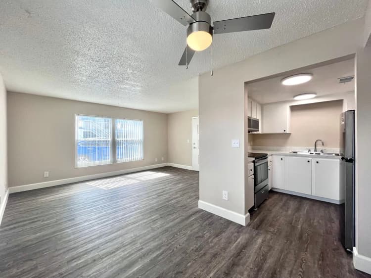St. Petersburg apartments for rent - image - image-2.jpg