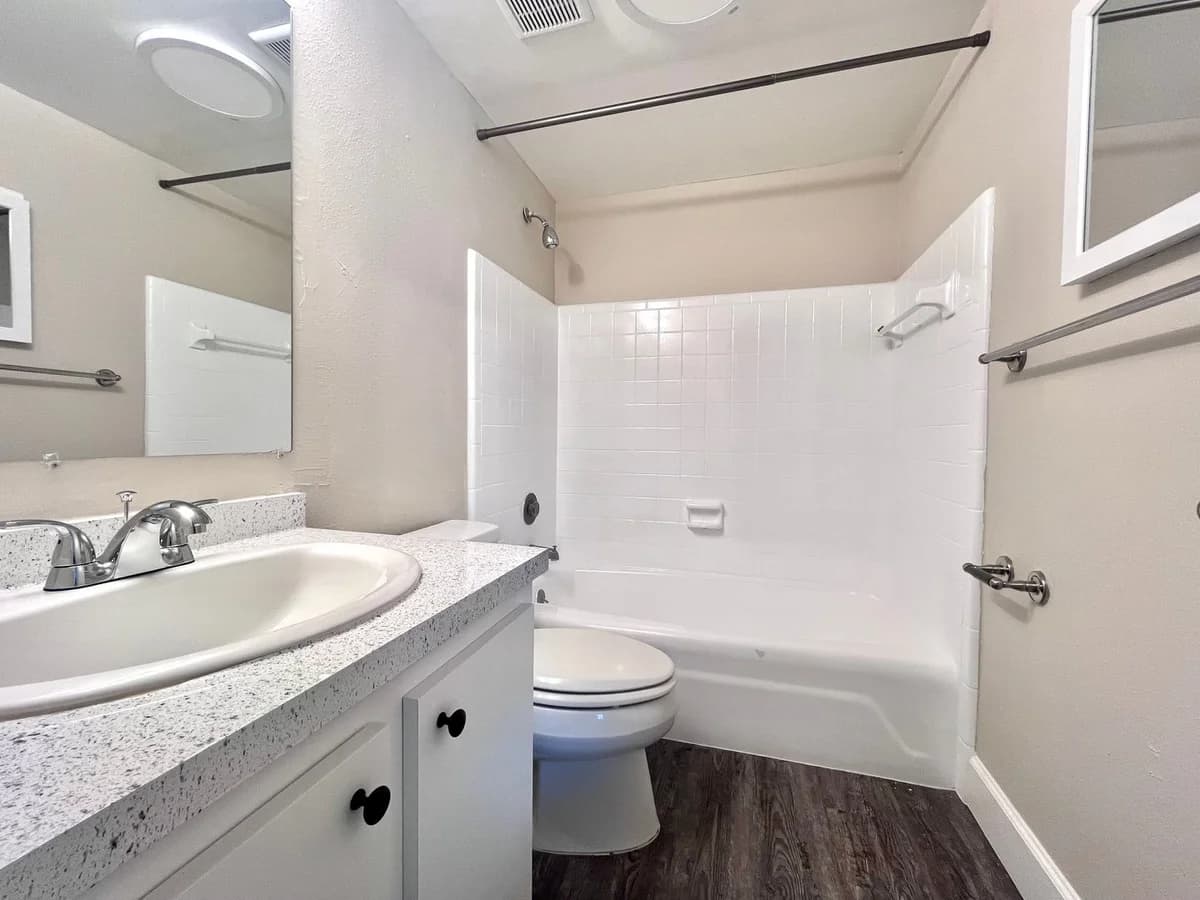 St. Petersburg apartments for rent - image - image-5.jpg