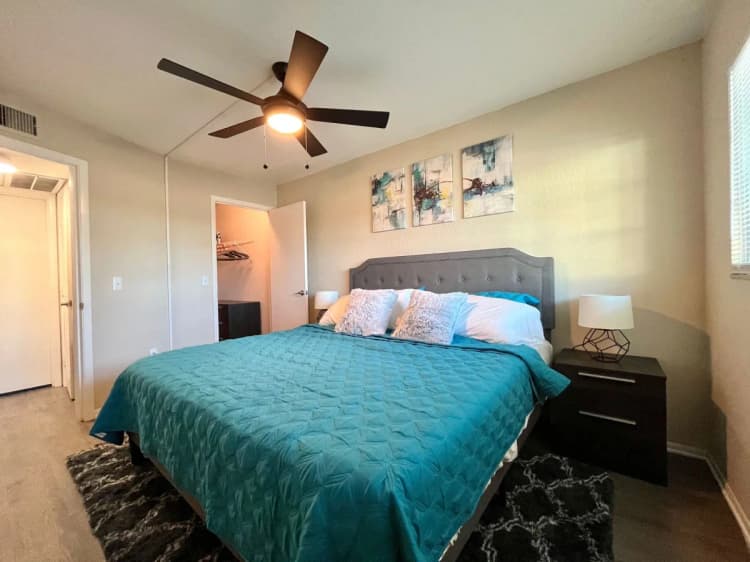 St. Petersburg apartments for rent - image - 6_raven_bay_pines-1920w.webp