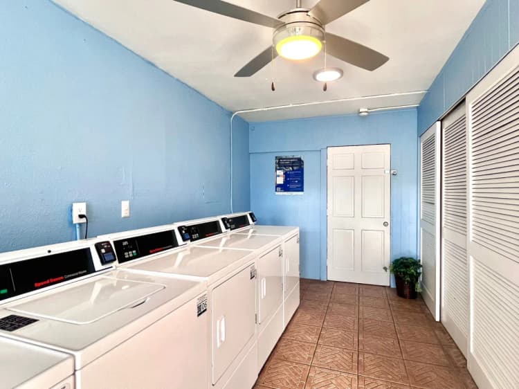 St. Petersburg apartments for rent - image - 10_casadova-1920w.webp