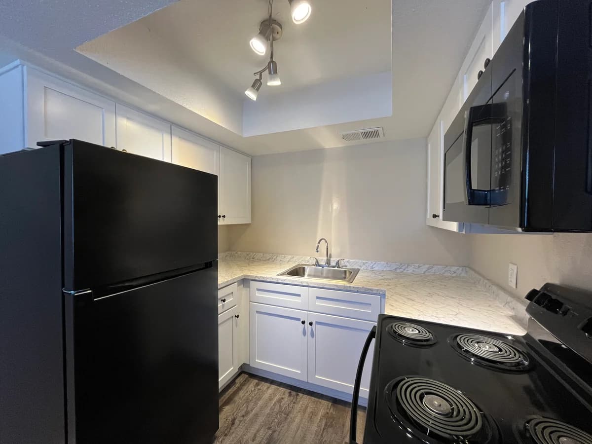 St. Petersburg apartments for rent - Property image - Raven at The Palms Apartments - 3