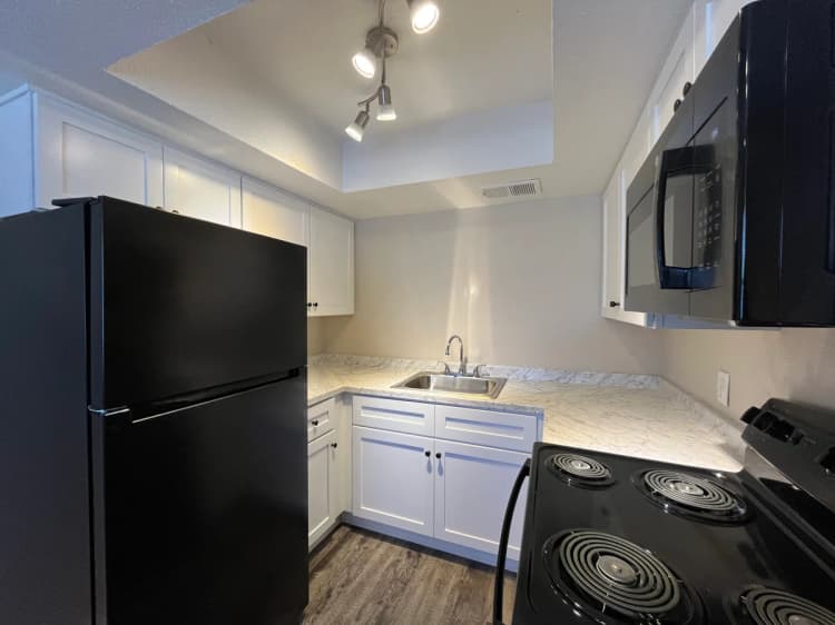 St. Petersburg apartments for rent - image - 2_raven_palms_raven_robin.jpg