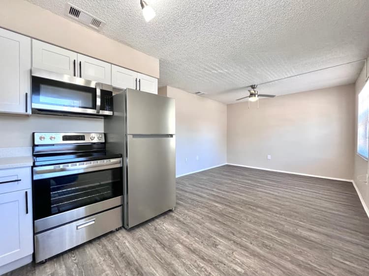 St. Petersburg apartments for rent - image - 2_rpp_ss.jpeg