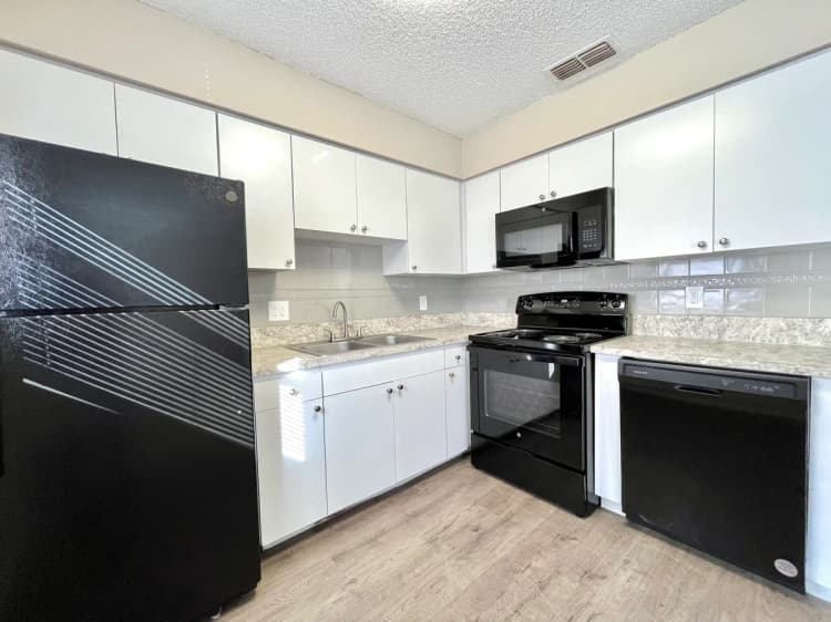 St. Petersburg apartments for rent - image - 9_raven_park_place_robin.jpg