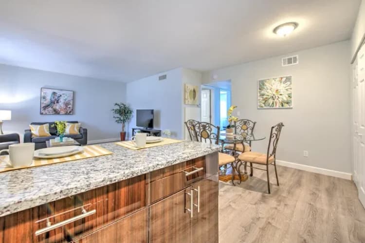 St. Petersburg apartments for rent - image - 7.+kitchen+3-1920w.webp
