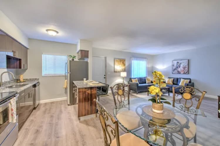 St. Petersburg apartments for rent - image - 5.+kitchen+2-1920w.webp