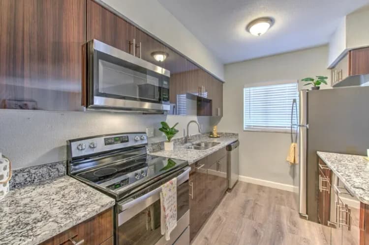 St. Petersburg apartments for rent - image - 6.+kitchen-1920w.webp