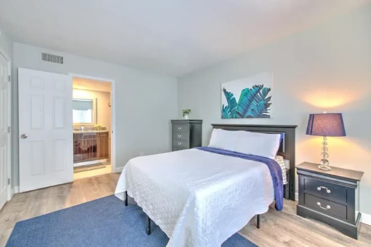 St. Petersburg apartments for rent - image - 11.+master+bedroom-1920w.webp