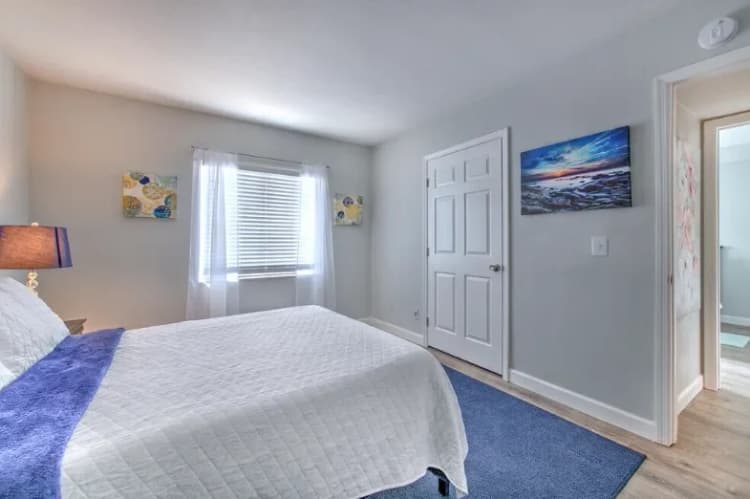 St. Petersburg apartments for rent - image - 12.+master+bedroom+3-1920w.webp
