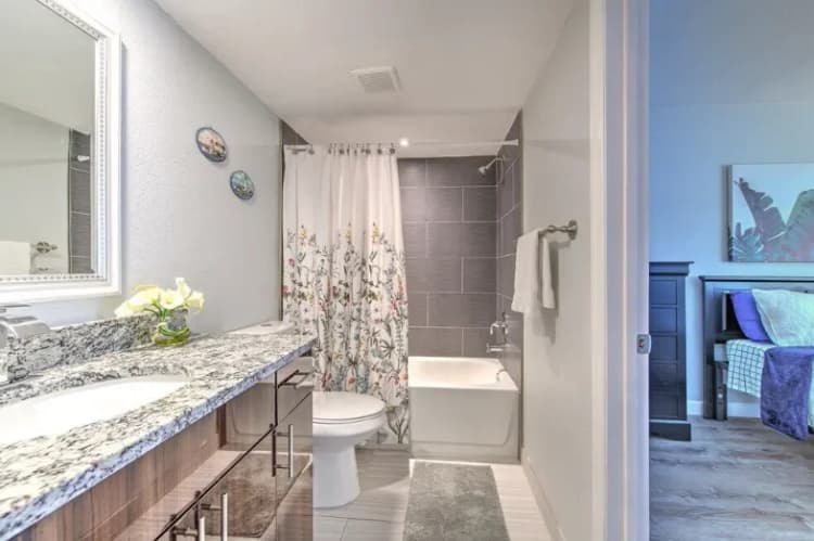 St. Petersburg apartments for rent - image - 14.+bath+2-1920w.webp