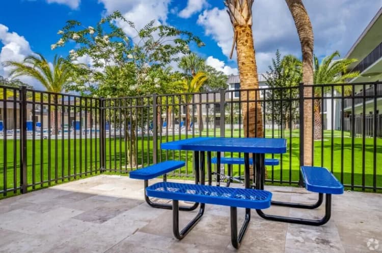 St. Petersburg apartments for rent - image - 24.+picnic-1920w.webp