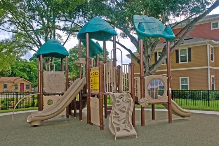 St. Petersburg apartments for rent - image - booker creek 7-13-10_0019.webp