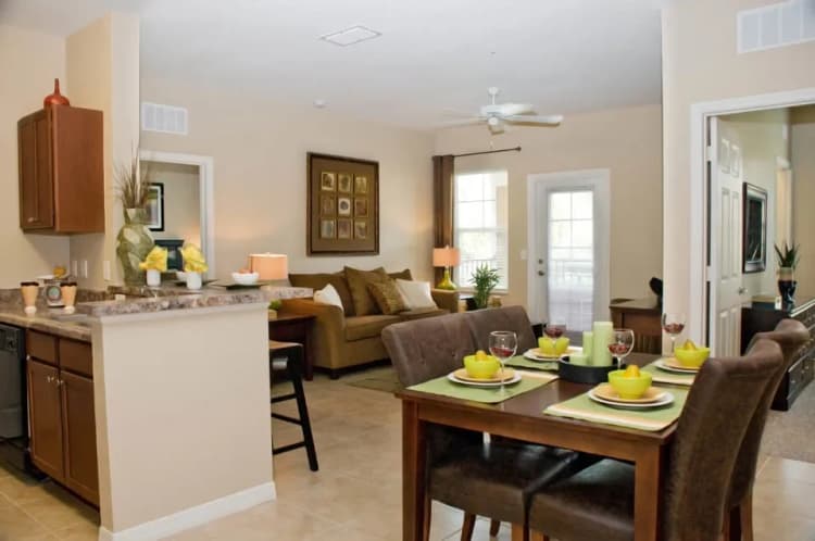 St. Petersburg apartments for rent - image - booker creek 7-13-10_0103.webp