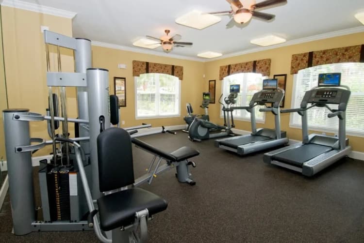 St. Petersburg apartments for rent - image - booker creek lo 7-13-10_0183.webp