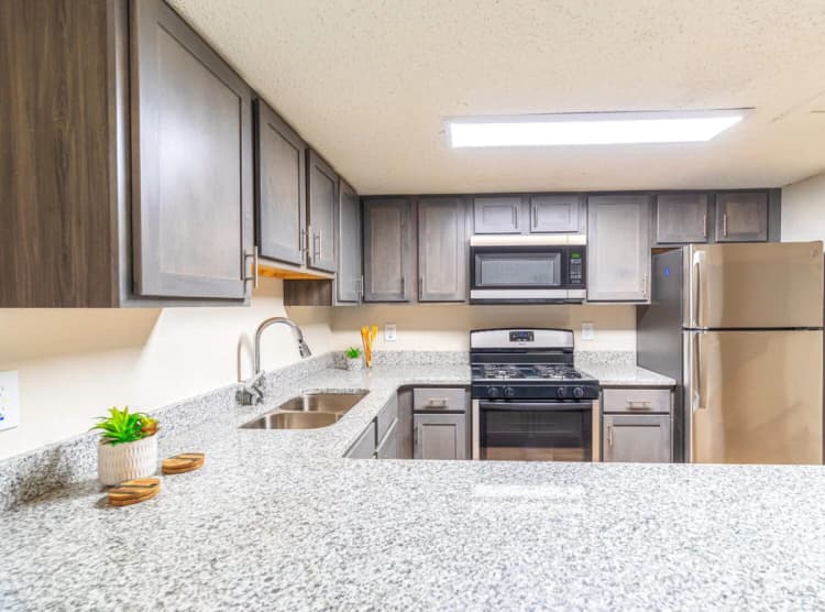 St. Petersburg apartments for rent - image - James Park Apartments - Kitchen1.jpeg