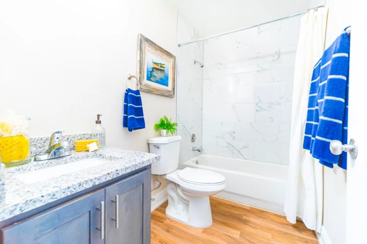 St. Petersburg apartments for rent - image - James Park Apartments - Bathroom.jpeg