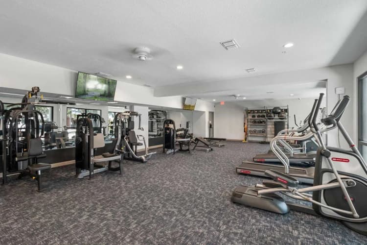 St. Petersburg apartments for rent - image - galleryfitness2.webp
