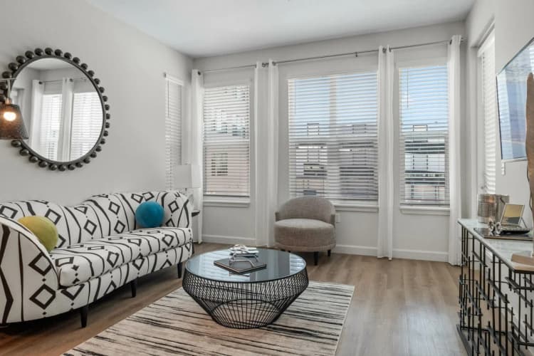 St. Petersburg apartments for rent - image - gallery2.webp