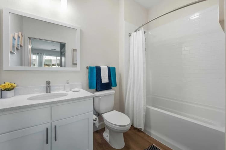 St. Petersburg apartments for rent - image - gallerybathroom2.webp