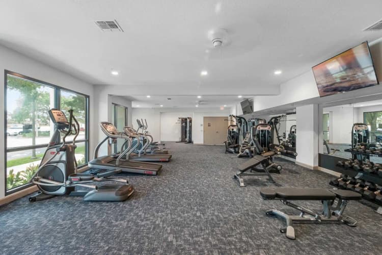 St. Petersburg apartments for rent - image - Gallery 3100 - Fitness Area.webp