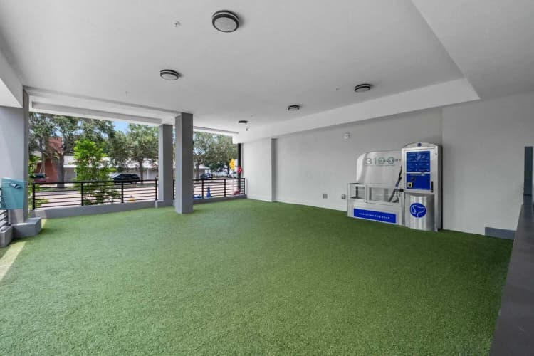 St. Petersburg apartments for rent - image - gallerydogwash(1).webp