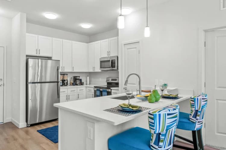 St. Petersburg apartments for rent - image - gallerykitch(1).webp
