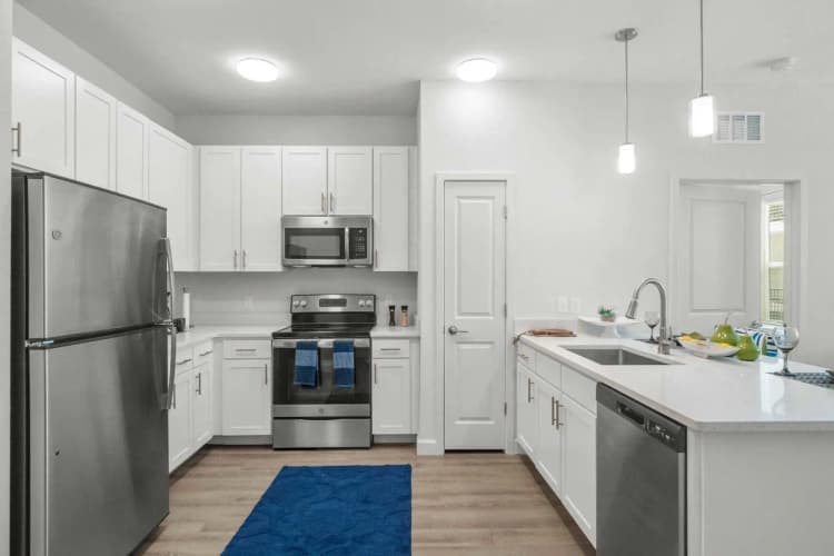 St. Petersburg apartments for rent - image - gallerykitchen.webp