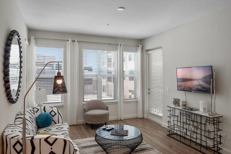 St. Petersburg apartments for rent - image - tvroom.webp