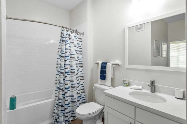 St. Petersburg apartments for rent - image - gallerybathroom.webp