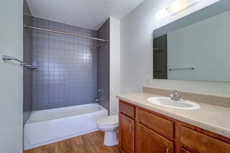 St. Petersburg apartments for rent - image - imgi_22_cypress-pointe-2x1-11.webp