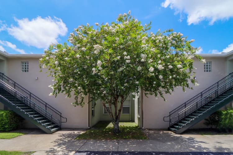 St. Petersburg apartments for rent - image - oak-trace-amen-5.webp