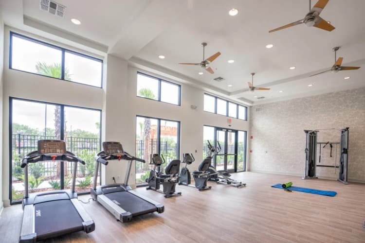 St. Petersburg apartments for rent - image - imgi_17_12.webp