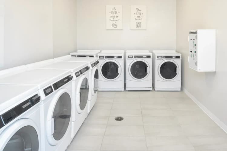 St. Petersburg apartments for rent - image - web laundry by rob-harris.webp