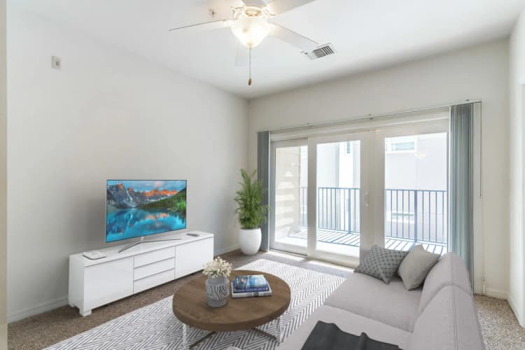 St. Petersburg apartments for rent - image - 1dc50ca47f6c013b616ac2d314956b0f42c1411c(3).webp