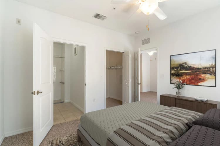 St. Petersburg apartments for rent - image - 8bc4f2ca8320a1d1764a6759fa29fef54886f607(3).webp