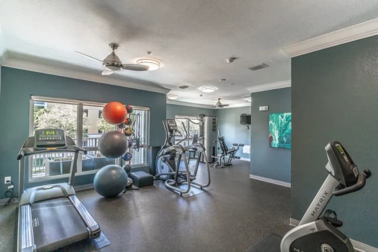 St. Petersburg apartments for rent - image - 013_harbours_edge-13_lores.webp