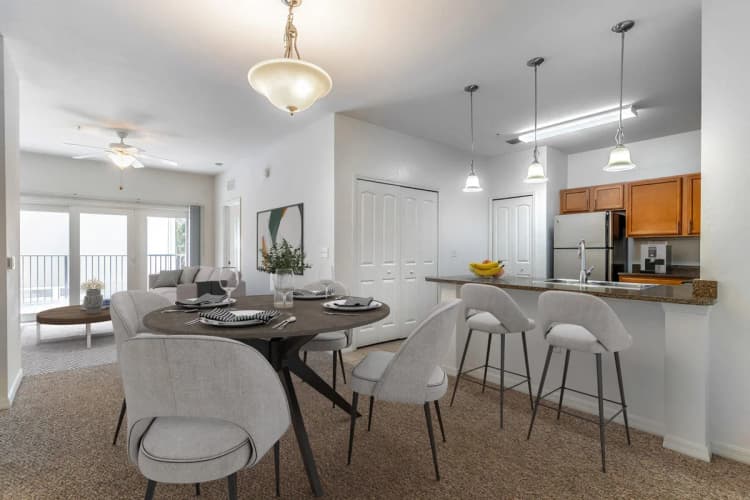 St. Petersburg apartments for rent - image - 049fdc7d94d8abc5453a58b876aaaf52672d1e8f(3).jpg