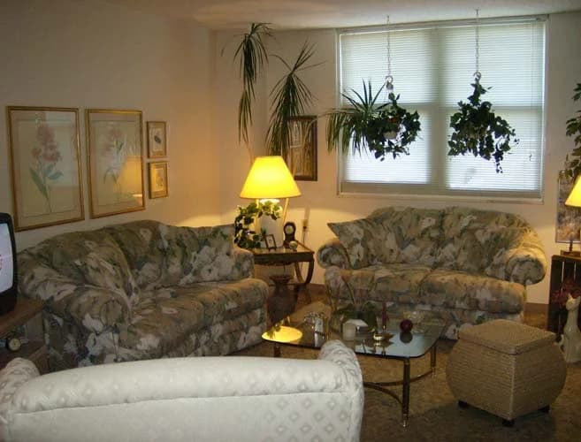 St. Petersburg apartments for rent - image - 187_187.jpg