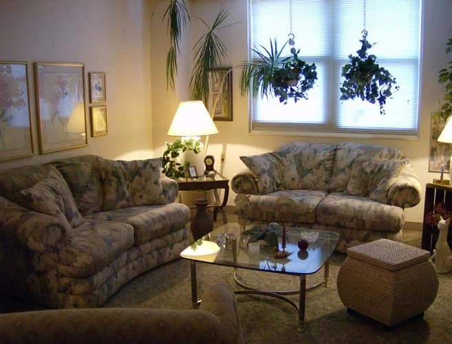 St. Petersburg apartments for rent - image - 190_190.jpg