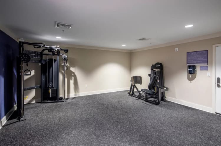 St. Petersburg apartments for rent - image - Screenshot 2026-07-28 132506.png