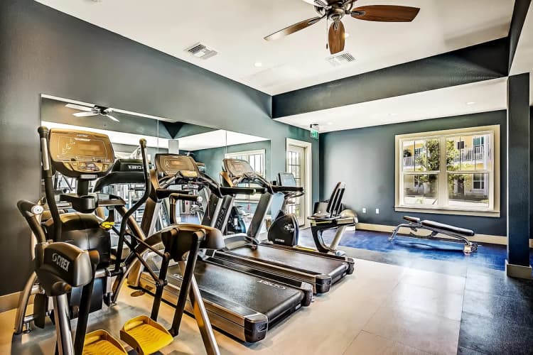 St. Petersburg apartments for rent - image - f71a38_082a50c201504ee3b1ba2707fa12b240.avif