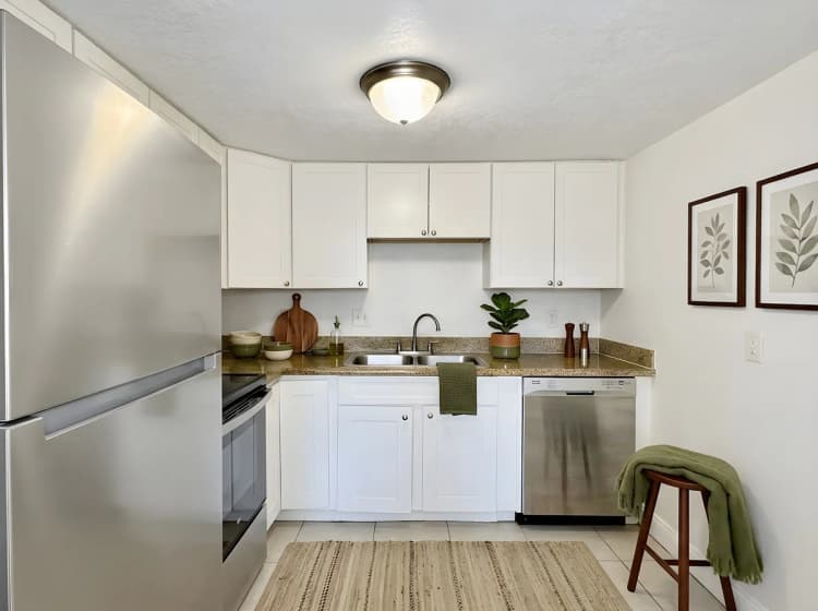 St. Petersburg apartments for rent - image - Starfish Premium - Kitchen