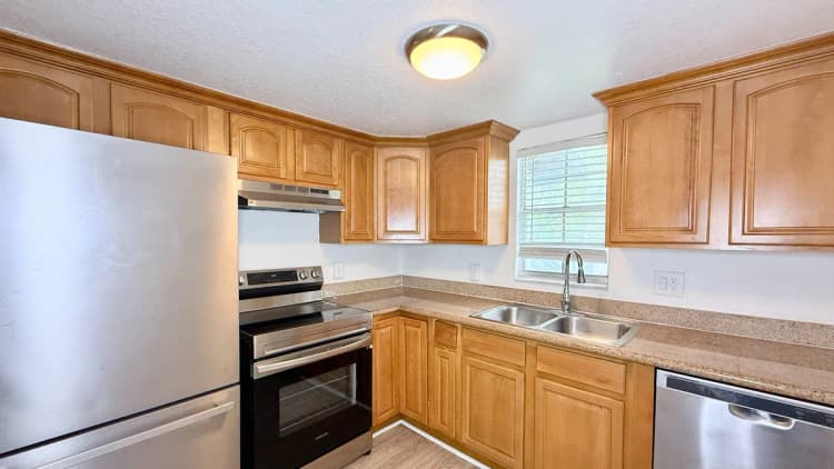St. Petersburg apartments for rent - image - Dolphin Premium - Kitchen